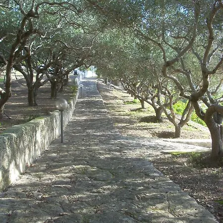 Quattrocchi - Giardino E Terrazzi Con Vista Panoramica Sul Mare, Etna E Vulcano